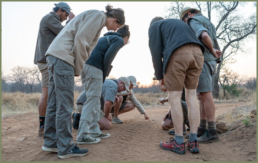 Becoming a Field Guide Part 3 - Living the Dream | EcoTraining