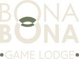 Bona Bona
