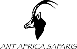 MicrosoftTeams-image-black