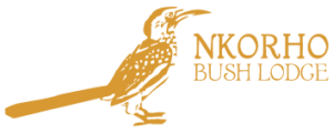 Nkorho Bush Lodge